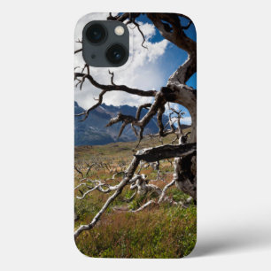 Torres del Paine National Park, fire damaged trees iPhone 13 Case