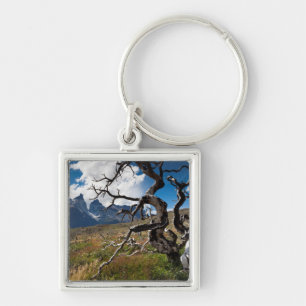 Torres del Paine National Park, fire damaged trees Key Ring