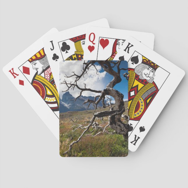 Torres del Paine National Park, fire damaged trees Playing Cards (Back)