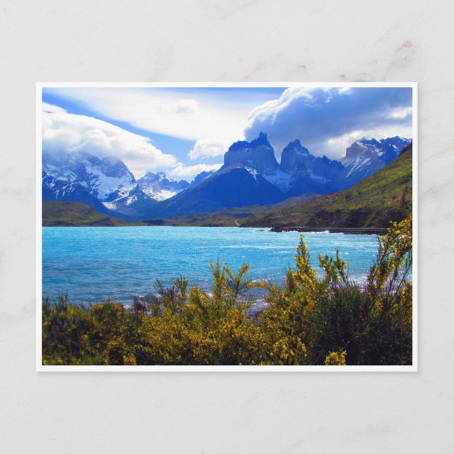 torres del paine view postcard (Front)