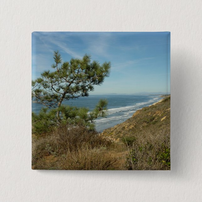 Torrey Pine and California Coastline Landscape 15 Cm Square Badge (Front)