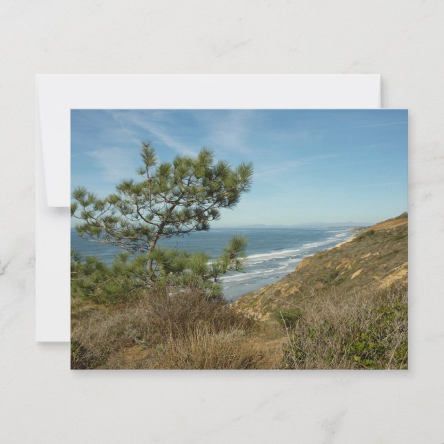 Torrey Pine and California Coastline Landscape Card (Front)