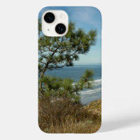Torrey Pine and California Coastline Landscape