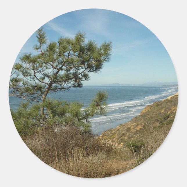 Torrey Pine and California Coastline Landscape Classic Round Sticker (Front)