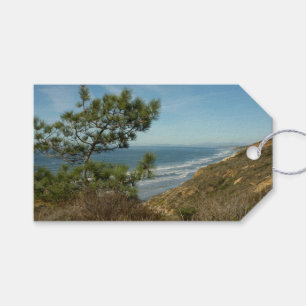 Torrey Pine and California Coastline Landscape Gift Tags