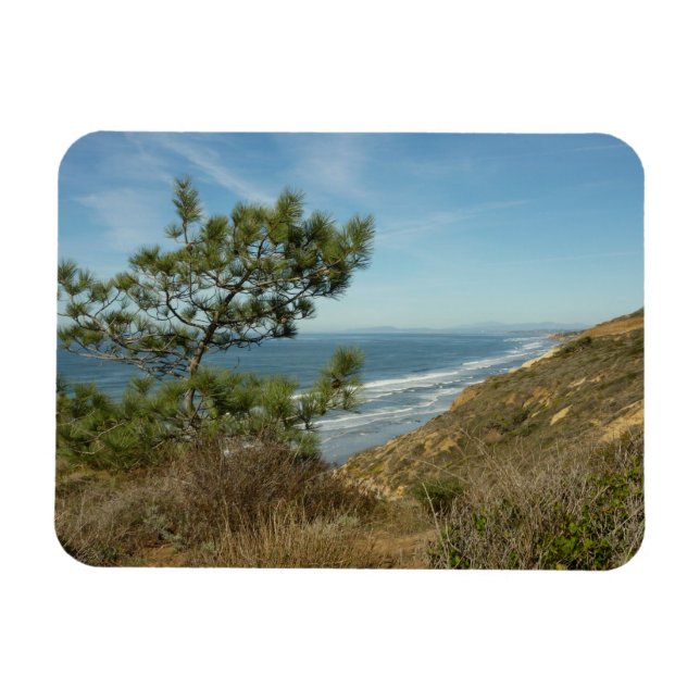 Torrey Pine and California Coastline Landscape Magnet (Horizontal)