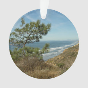Torrey Pine and California Coastline Landscape Ornament