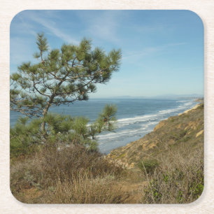 Torrey Pine and California Coastline Landscape Square Paper Coaster