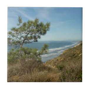 Torrey Pine and California Coastline Landscape Tile