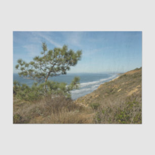 Torrey Pine and California Coastline Landscape Tissue Paper