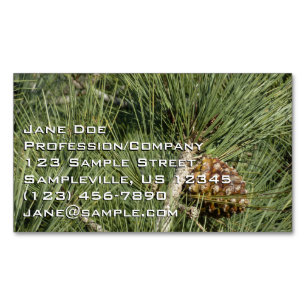 Torrey Pine Closeup California Botanical Magnetic Business Card