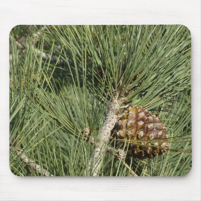 Torrey Pine Closeup California Botanical Mouse Mat (Front)