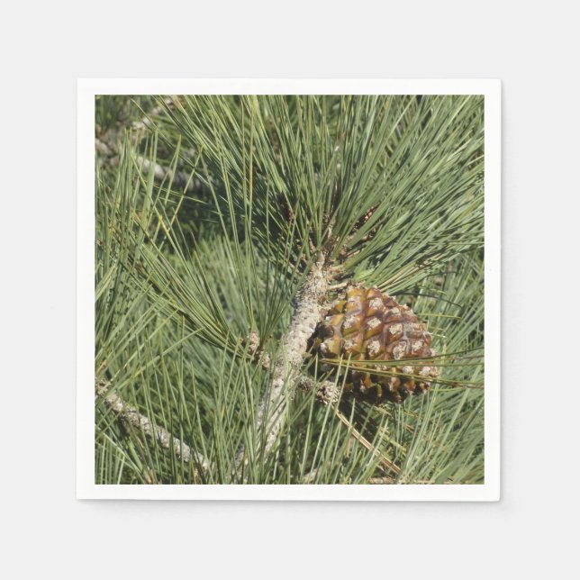 Torrey Pine Closeup California Botanical Napkin (Front)
