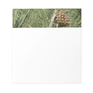 Torrey Pine Closeup California Botanical Notepad