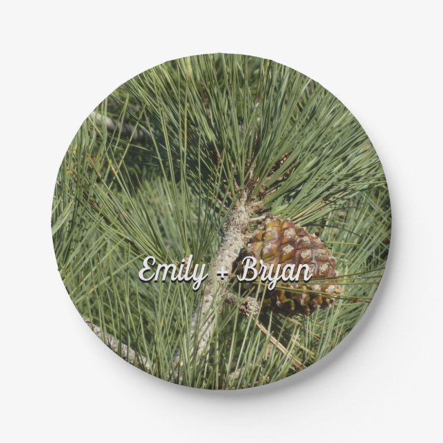 Torrey Pine Closeup California Botanical Paper Plate (Front)