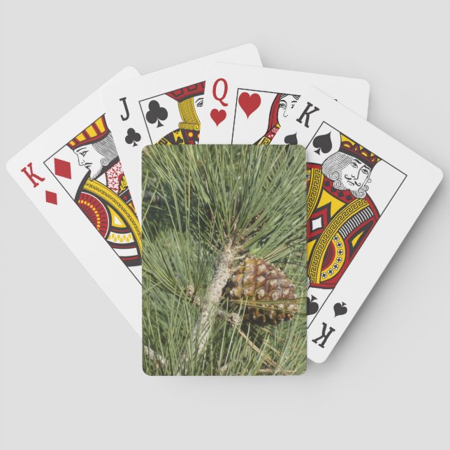 Torrey Pine Closeup California Botanical Playing Cards (Back)