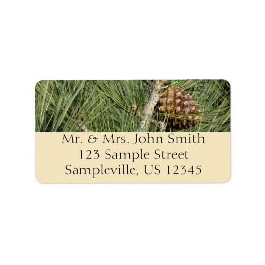 Torrey Pine Closeup California Tree Address Label