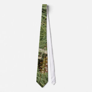 Torrey Pine Closeup Tie