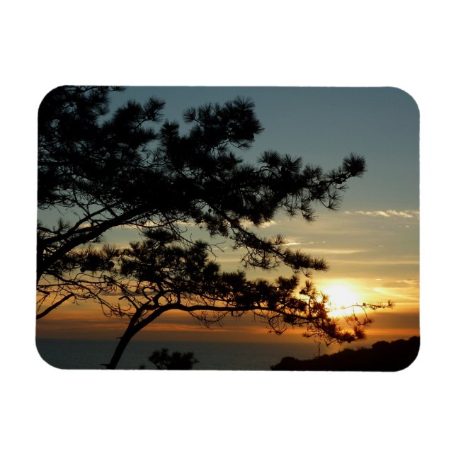 Torrey Pine Sunset I California Landscape Magnet (Horizontal)