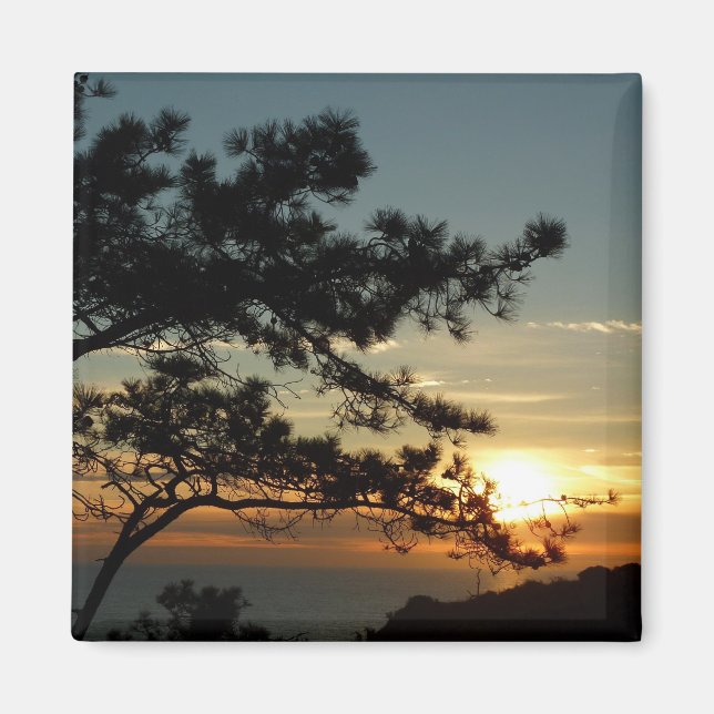 Torrey Pine Sunset I California Landscape Magnet (Front)