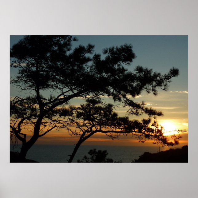 Torrey Pine Sunset I California Landscape Poster (Front)