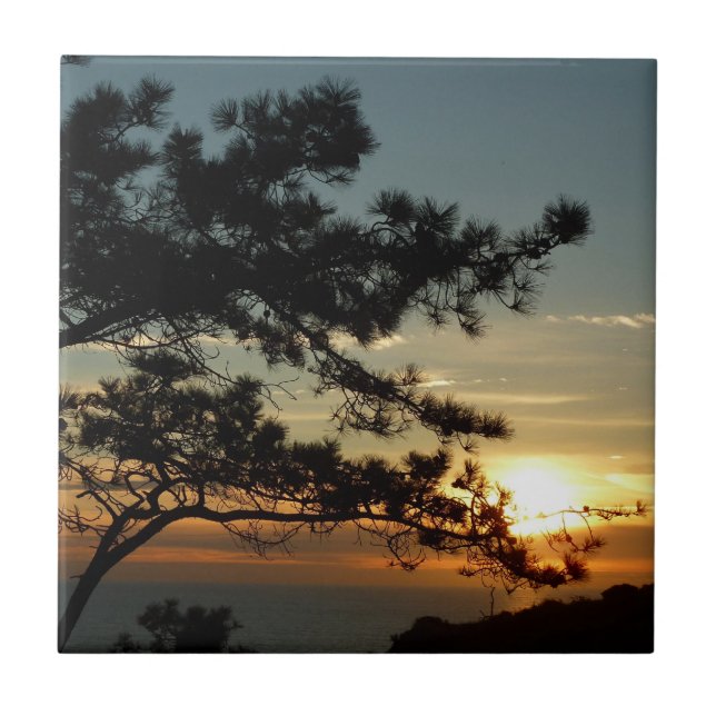 Torrey Pine Sunset I California Landscape Tile (Front)