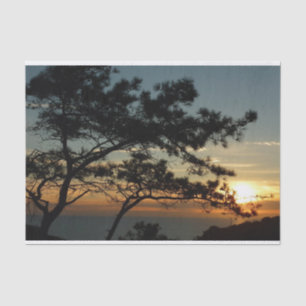 Torrey Pine Sunset I California Landscape Tissue Paper