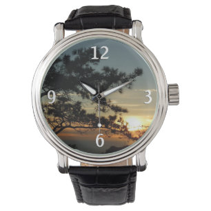 Torrey Pine Sunset I California Landscape Watch