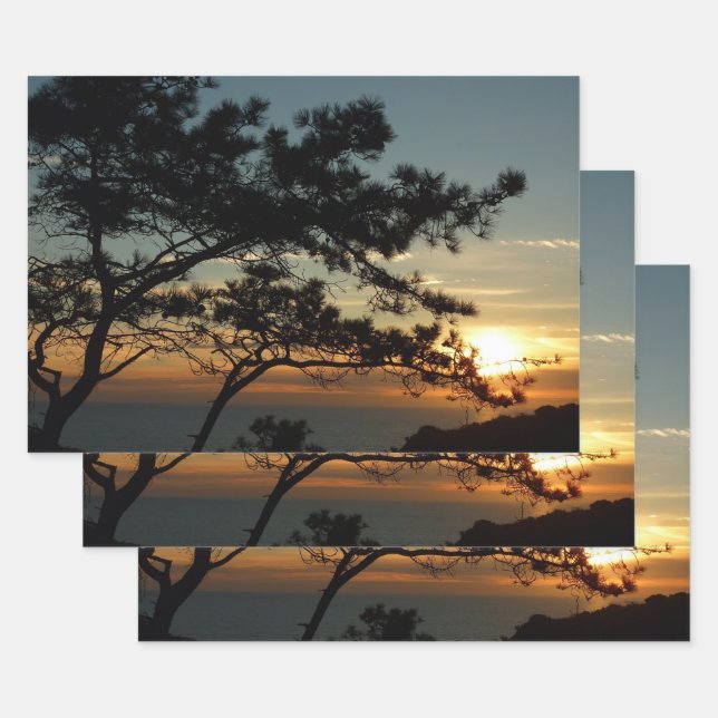 Torrey Pine Sunset I California Landscape Wrapping Paper Sheet (Set)