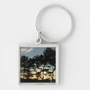 Torrey Pine Sunset II California Landscape Key Ring