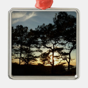 Torrey Pine Sunset II California Landscape Metal Tree Decoration