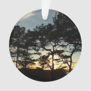 Torrey Pine Sunset II California Landscape Ornament