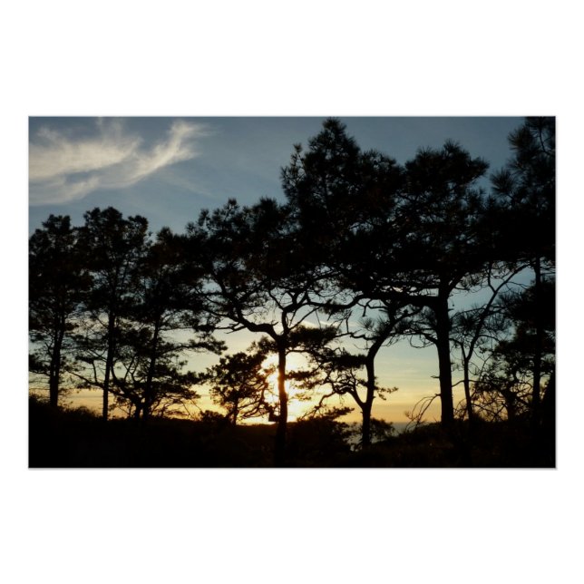 Torrey Pine Sunset II California Landscape Poster (Front)