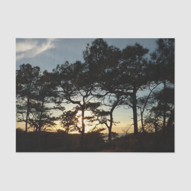 Torrey Pine Sunset II California Landscape Tissue Paper (Front)