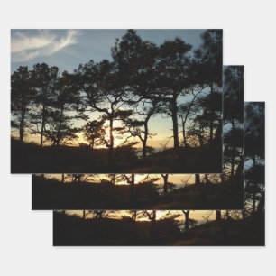 Torrey Pine Sunset II California Landscape Wrapping Paper Sheet
