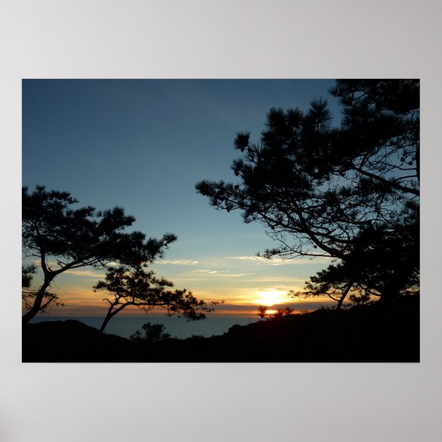 Torrey Pine Sunset III California Landscape Poster (Front)