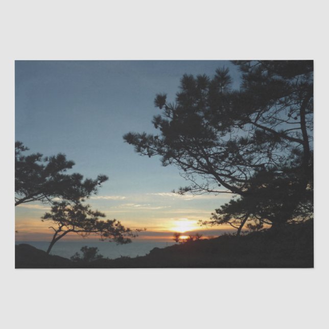 Torrey Pine Sunset III California Landscape Tissue Paper (Front)