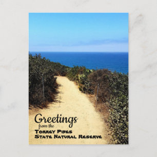 Torrey Pines Natural Reserve La Jolla California Postcard