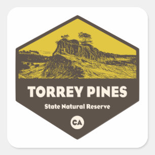 Torrey Pines State Reserve California Square Sticker