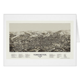 Torrington, CT Panoramic Map - 1889