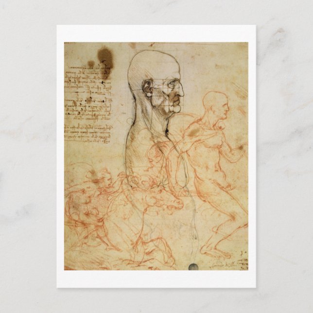 Torso of a Man in Profile, the Head Squared for Pr Postcard (Front)