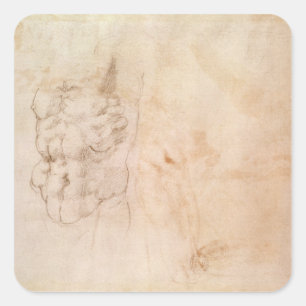 Torso Study Square Sticker