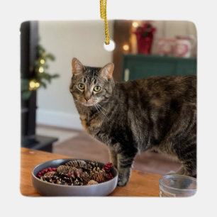Torti Kitty Christmas ornament