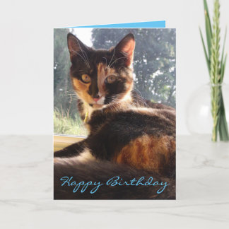 tortie birthday card
