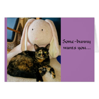 Tortie cat Easter card