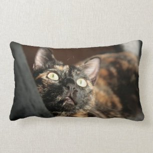 tortie cat pillow
