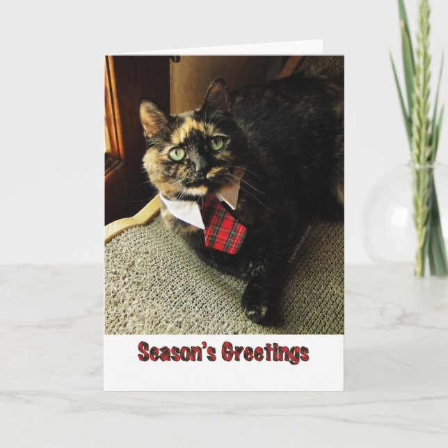 Tortie Season's Greeting Card, Starring Binga Holiday Card (Front)