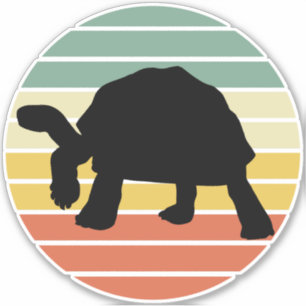 Tortoise