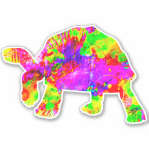 Tortoise