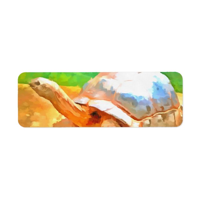 Tortoise (Front)